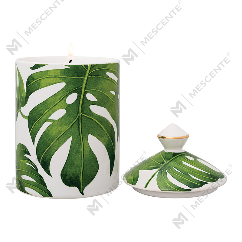 M&Scent স্পেশাল ডিজাইন কালার আরবান বোটানিক্স টাম্বলার ক্যান্ডেল সাথে ফোল্ডিং বক্স